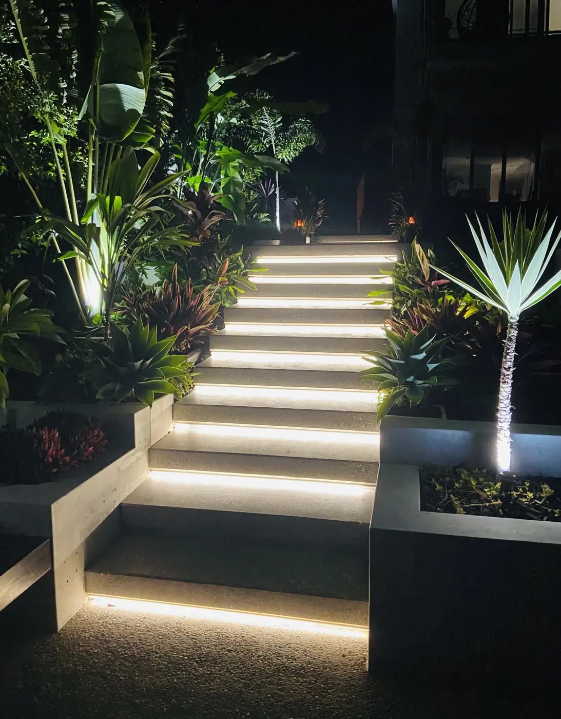 Floating stairs lit at night between tropical plants